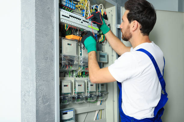 Best Electric Panel Repair  in Oakwood, IL
