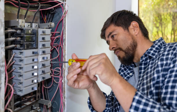 Best Affordable Electrician  in Oakwood, IL